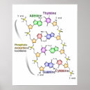 Buscar estructura química posters Químico