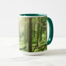 Buscar musgo tazas Bosque