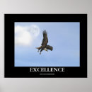 Buscar aves rapaces posters Fotografía de vida silvestre