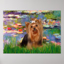 Buscar yorkshire terrier dog posters Dogs