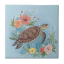 Buscar tortugas azulejos Naturaleza