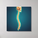 Buscar columna vertebral lienzos Medicina