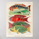 Buscar biología marina posters Naturaleza