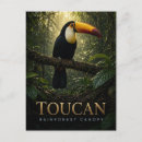 Buscar tucanes postales Para todos