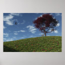Buscar arce japonés posters Flores