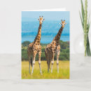 Buscar sabana tarjetas Vida silvestre