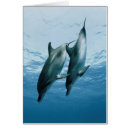 Buscar imagen del delfín postales Adt