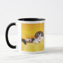 Buscar doblez tazas Animal