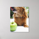 Buscar comida y bebida lienzos Animales domésticos