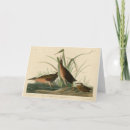 Buscar virginia tarjetas Ilustracion