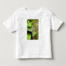 Buscar selva tropical de costa rica camisetas Remoto