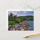 Buscar palmeras costeras postales Para todos