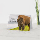 Buscar sale tarjetas General y unisex