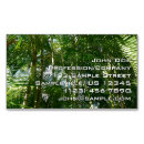 Buscar palmeras tropicales tarjetas de visita General y unisex