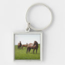 Buscar familia de caballos llaveros Naturaleza