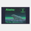 Buscar hielo rectangulares pegatinas Oso polar