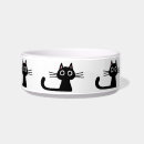 Buscar felines Para mascotas