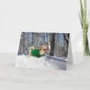 Buscar estímulo tarjetas Tarjeta del estímulo