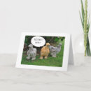 Buscar trabajo social tarjetas Jubilados