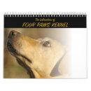 Buscar labradors Laboratorio