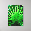 Buscar selva tropical lienzos Hojas de palma