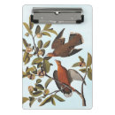 Buscar palomas libretas General y unisex