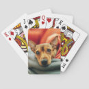 Buscar mini barajas de cartas Perro