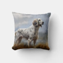 Buscar setter cojines Cachorro