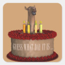 Buscar dromedario postales Divertido