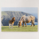 Buscar yeguas puzzles Caballo