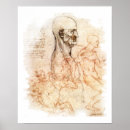 Buscar dibujo de da vinci posters Leonardo