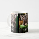 Buscar pet clasicas tazas General y unisex