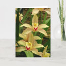 Buscar orquídeas amarillas tarjetas Botánico