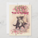 Buscar gatito suave invitaciones Gato