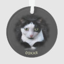 Buscar mascota memoriales adornos 9 º gata