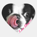 Buscar boston terrier pegatinas Adorable