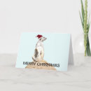 Buscar meerkat tarjetas Animal