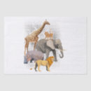 Buscar africano papel de seda Animales