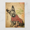 Buscar vintage dog postales Perro