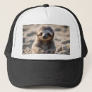 Buscar castillo gorras Castillo de arena