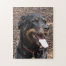 Buscar perros sonrientes puzzles Animales
