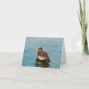 Buscar ondulación fotografía Agua