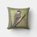 Buscar pájaros negros cojines Aves