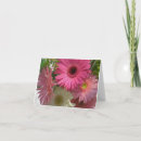Buscar margarita del gerbera tarjetas Para todos
