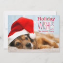 Buscar mentira tarjetas Rojo