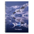Buscar antártico cuadernos Es decir