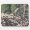 Buscar bluebird alfombrillas de raton Para todos