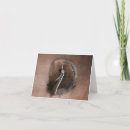 Buscar chamanes postales Animal
