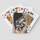 Buscar cabeza barajas de cartas 6 º cara