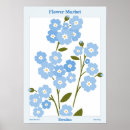 Buscar myosotis Floral
